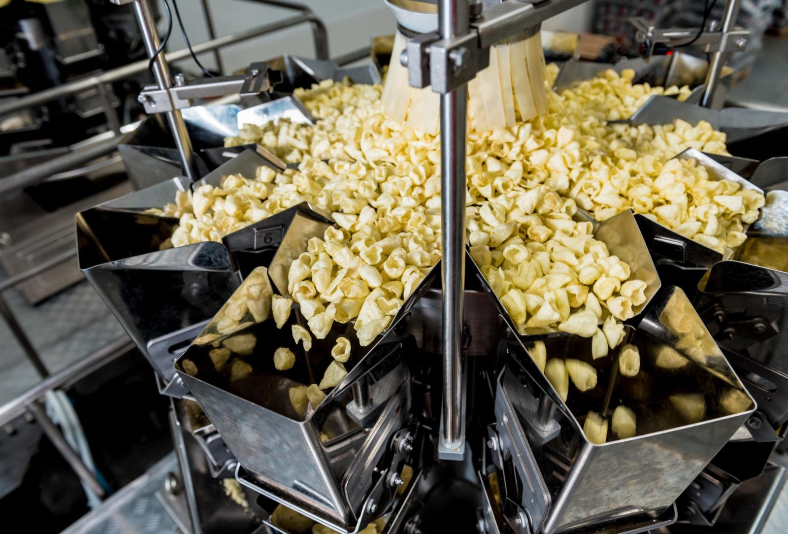 10 Head weigher with pneumatic